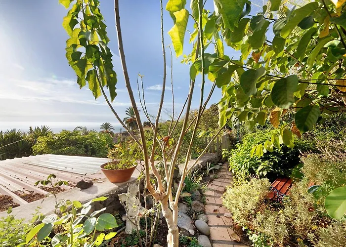 Casa La Panacea * Breña Baja